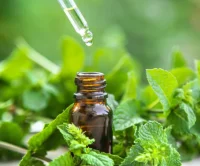 how_to_make_peppermint_oil_480x480